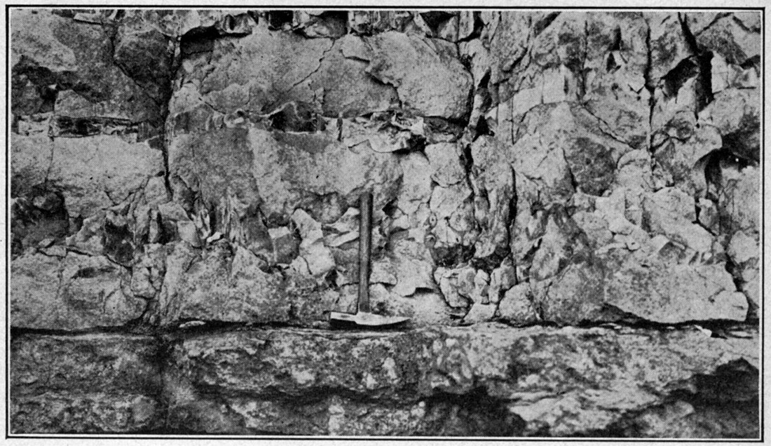 Exposure of the Florence flint, showing its chert-bearing character.