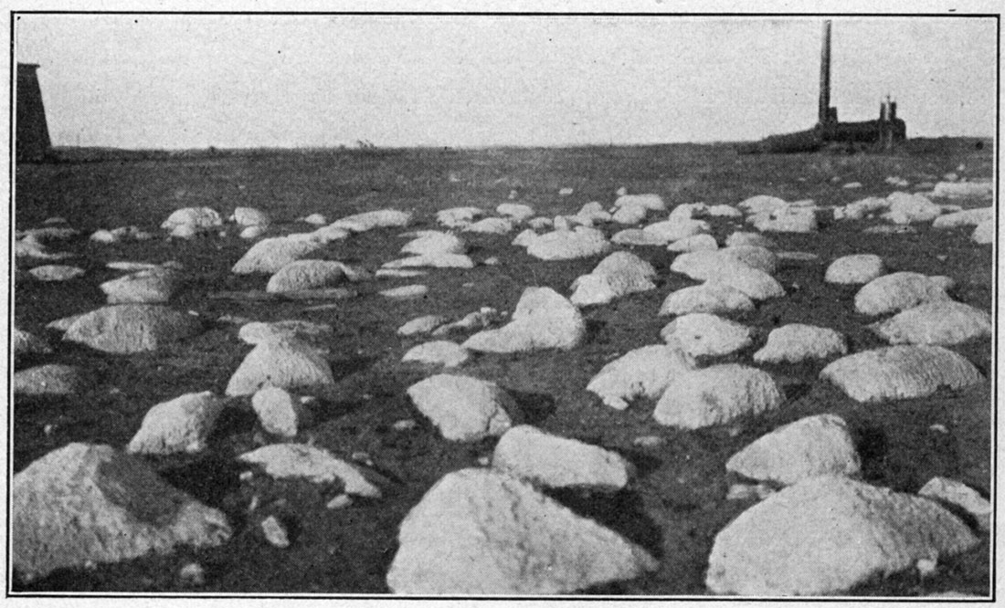 Boulder-like outcrop of the top of the Fort Riley limestone.