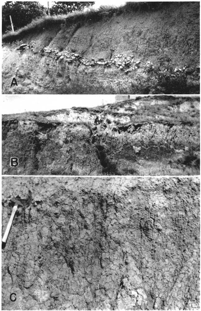 Three black and white photos ; top has layer of rubble at base of silt; middle has silt overlying Loveland soil; bottom is closeup of Loveland soil.