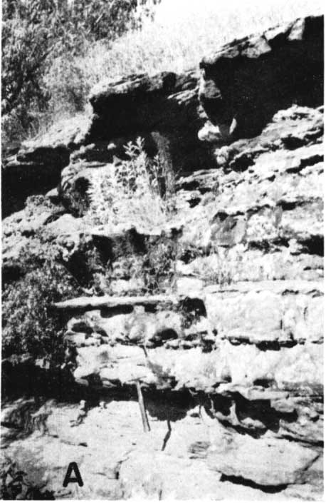 outcrop above small stream, alternating eroded and resistant beds.