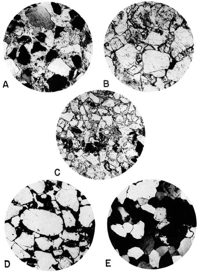 Black and white thin section photos.