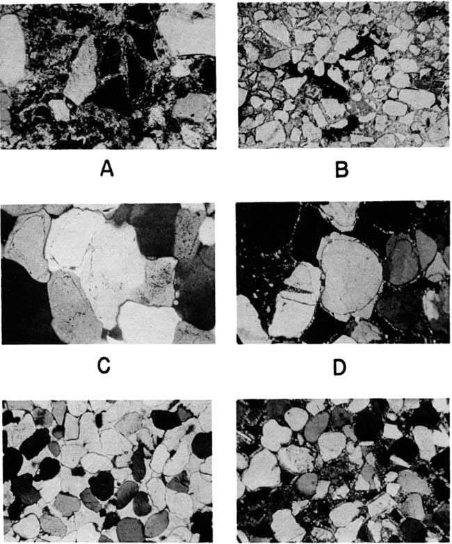 Black and white thin section photos.