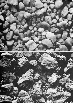 Two black and white photos of insoluble residues.