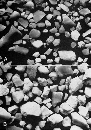 Two black and white photos of insoluble residues.