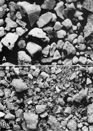 Two black and white photos of insoluble residues.