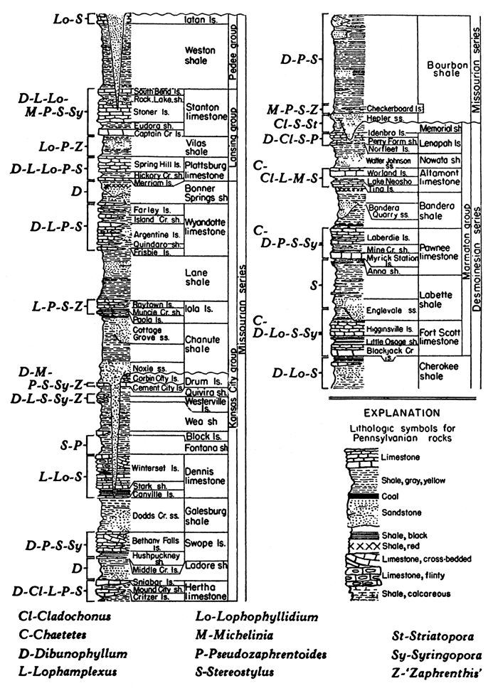 Locations and types of corals shown; from top, Pedee group, Lansing group, Kansas City group, Bourbon shale, and Marmaton group.