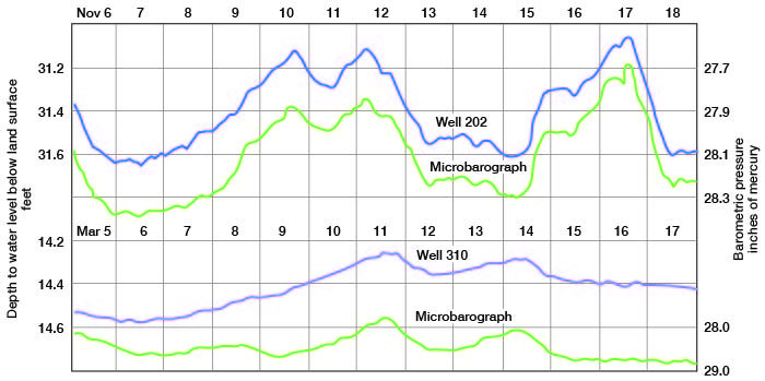 Hydrograph of wells 202 and 310.