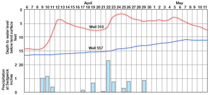 Hydrographs of wells 310 and 557 and daily precipitation at Sedgwick during April and May 1944.