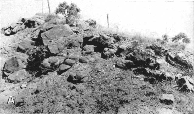 Black and white photo showing concretionanary quartzite.