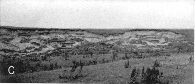 Black and white photo; wide hill covered with slumping zones.