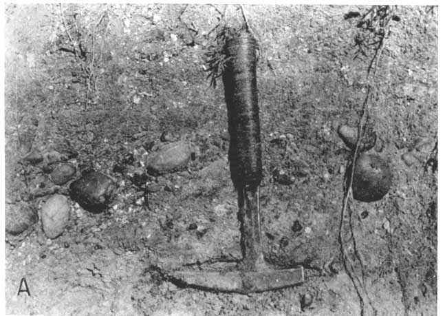 Black and white photo of pebble and cobble zone; about foot thick based on rock hammer