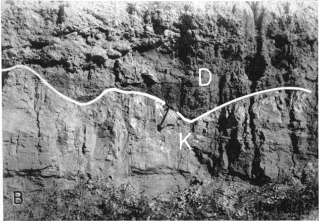Black and white photo of outcrop; eight-feet thick; contact between Delmore and Kiowa is outlined.
