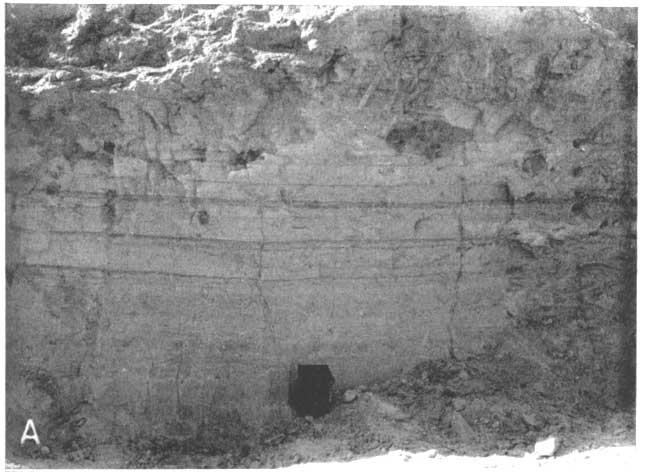 Black and white photo; steeply sided pit of bedded volcanic ash; several feet high (backpack for scale); McPherson County.