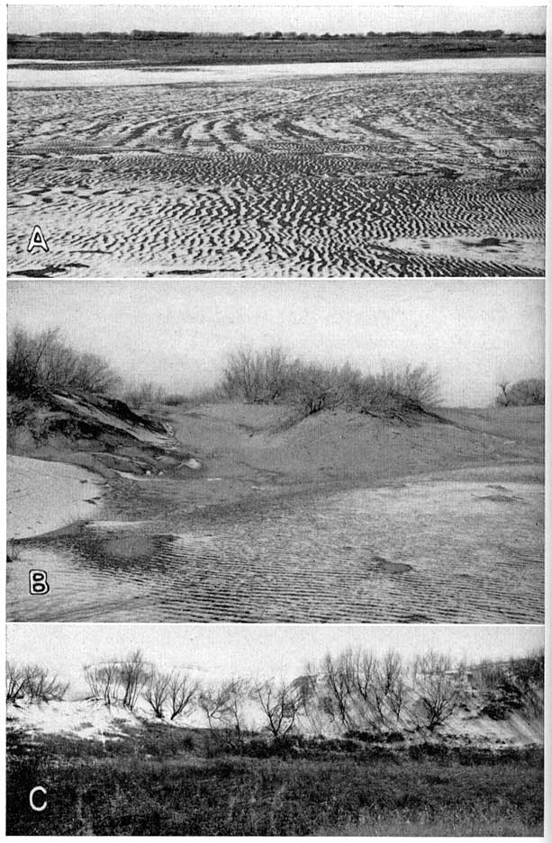 Three photos of sand dunes.