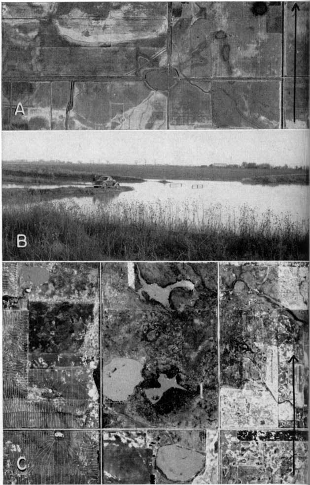 Three view of sinkholes.