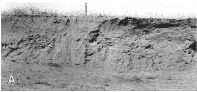 Black and white photo showing outcrop; 4 times as high as a fence pole at top of outcrop.
