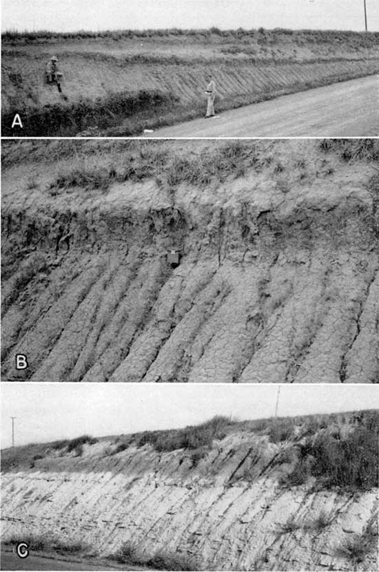 Three black and white photos; Peoria silt, Brady soil, and Bignell silt in roadcut; Brady soil closeup; Loveland silt on Greenhorn Ls in roadcut.