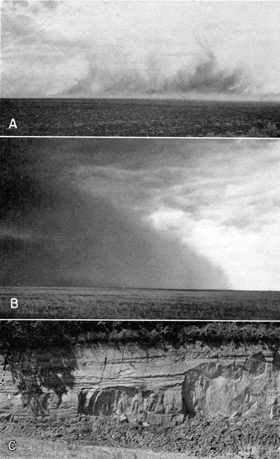 Three black and white photos; top two photos are of dust blowing over western Kansas; bottom photo is of Bignell and Peoria silt in roadcut.