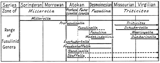 Listing of fusulinids in east Series.