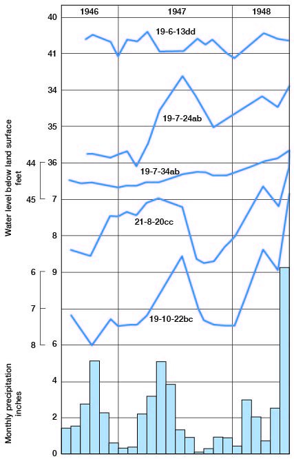 Hydrographs showing fluctuations of the water level as well as precipitation.