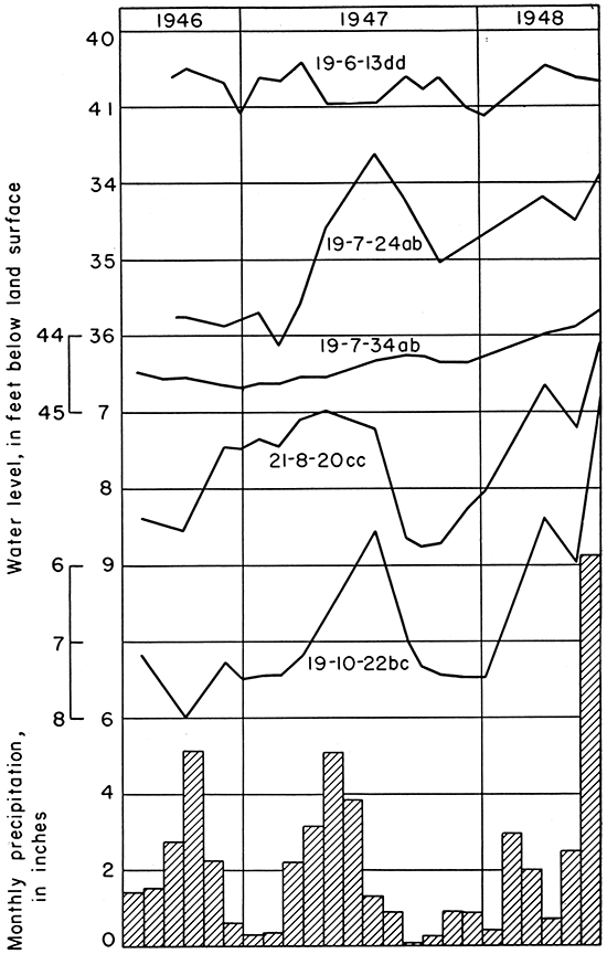 Hydrographs showing fluctuations of the water level as well as precipitation.
