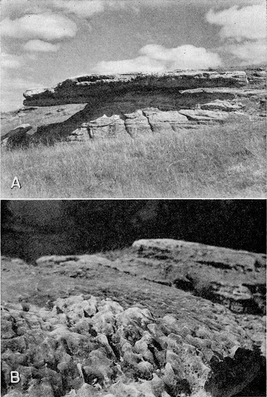 Two black and white photos; top is calcareous sandstone near the top of Marquette member of the Kiowa shale; bottom is close up of first photo showing weathered surface.
