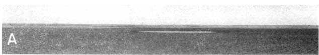 Black and white photo showing flat, treeless expanse with shallow pool in distance.
