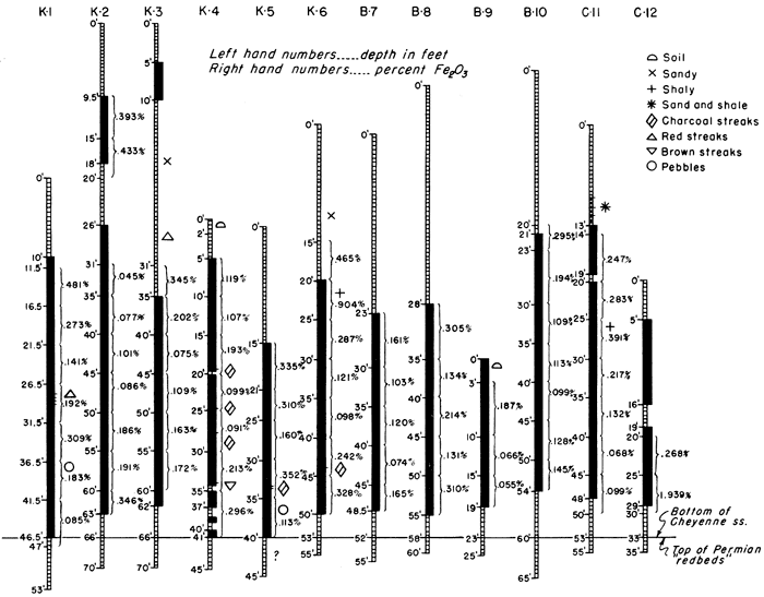 Twelve logs displayed; datum is the top of the Permian redbeds.