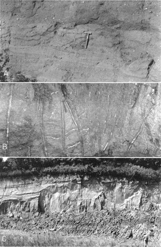 Three black and white photos; top is closeupof gray till with gravel, rock hammer for scale; Middle is light colored joints (6-feet high) in gray matrix, rock hammer for scale; thick outcrop (geologist for scale) of Sanborm Fm.