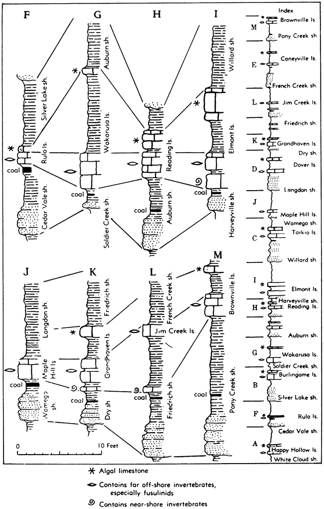 Several stratigraphic sections labeled to show cyclothems.