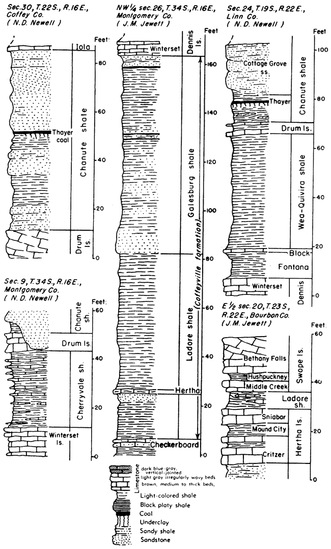 Five stratigraphic sections.