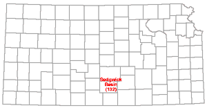 covers Sedgwick, Reno, and Kingman counties