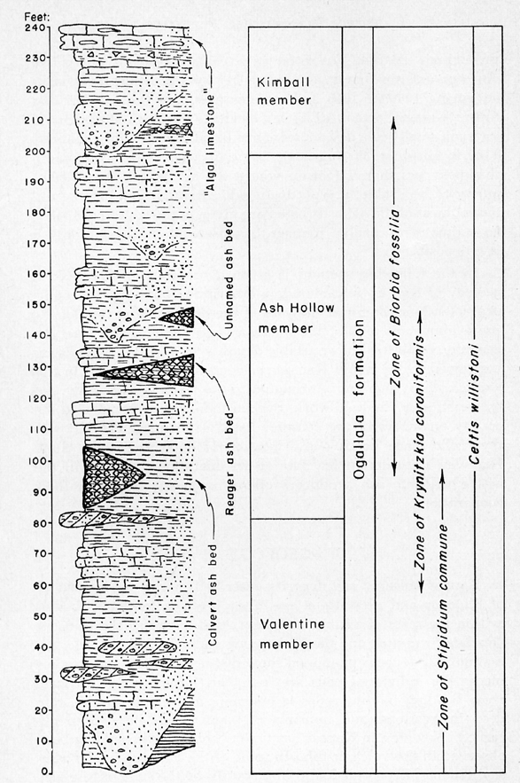 Stratigraphic column of Ogallala formation in Kansas.