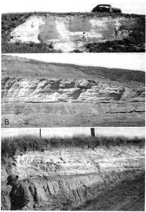 Three views of Pearlette ash in Gove, Sheridan, and Lincoln Counties.