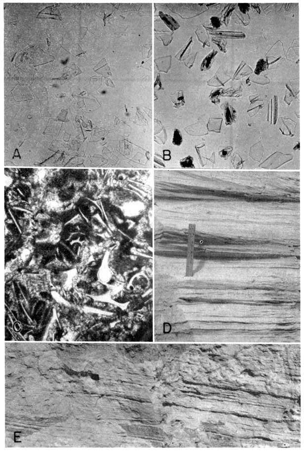 Petrographic features of Kansas volcanic ash.