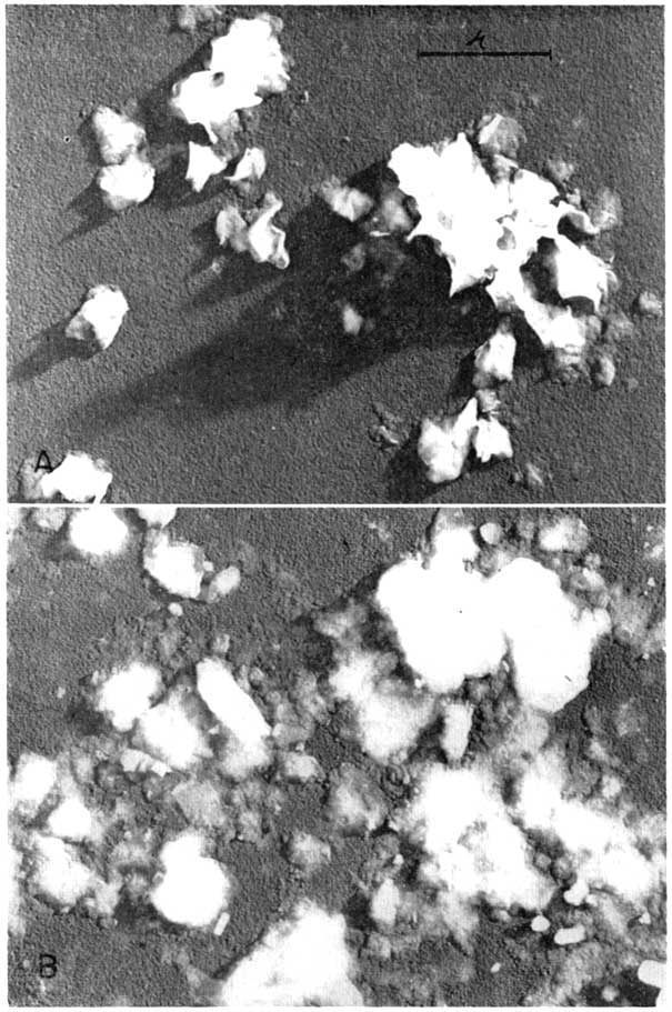 Electron micrographs of volcanic ash and bentonite.