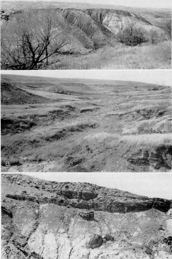 Three black and white photos; top two show present landscape of mined areas; bottom photo shows lignite exposure.