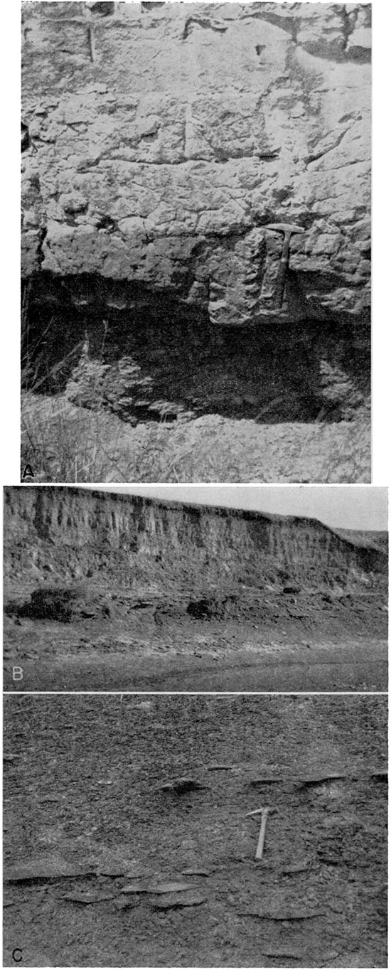 Three black and white photos; top photo is close up of Fort Hays limestone member; middle photo is of whole streambank, Crete sand and gravel member overlying thin-bedded Blue Hill shale member; bottom photo is closeup of Blue Hill shale member.