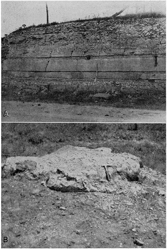 Two black and white photos; top is of massive Fort Hays limestone member in roadcut; lower photo is closeup of concretion from Blue Hill shale.