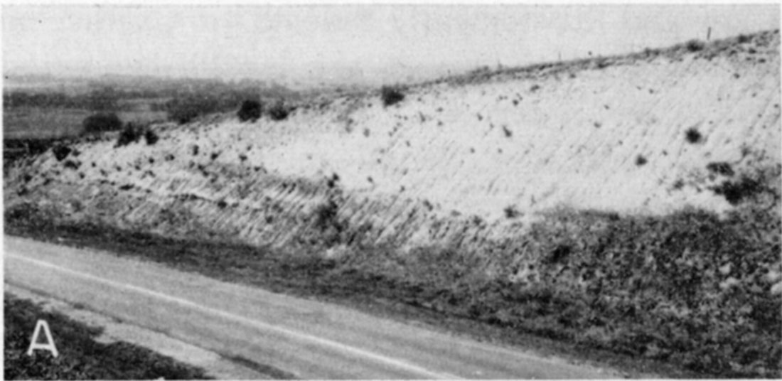 black and white photo, Peoria loess and Sangamon soil..t