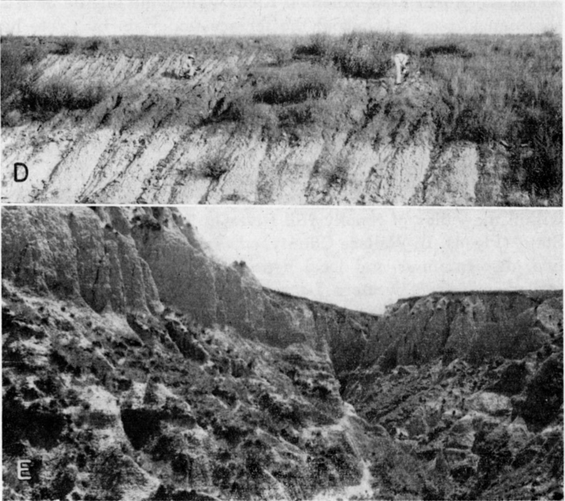 Two black and white photos; small roadcut, light gray material, grass at surface;  highly eroded clifs