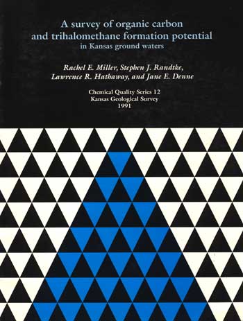 cover of report; white paper; Words in blue and white against black background; graphic is triangles in black, white, and blue