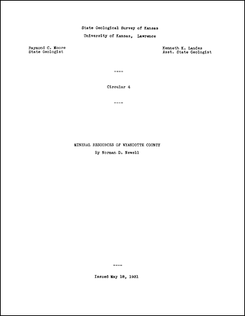 Title page of the report; no separate cover was created.