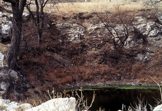 Photo shows water-filled circular depression, 10-15 feet across, with steep sides, trees and bushes have no leaves, but there is no ice on water