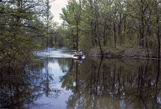 Photo of water-filled pit