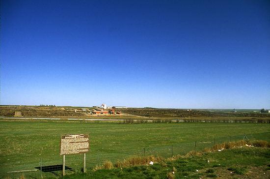 Photo of feedlot