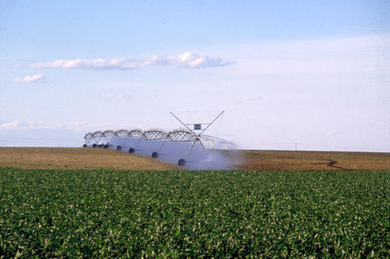 Photo of center-pivot system spraying field of corn