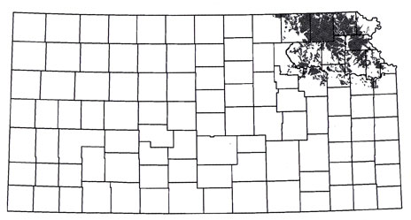 Map showing outline of glacial aquifers in Kansas.