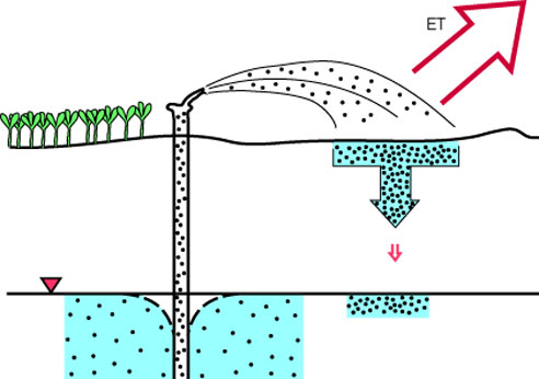 Diagram showing movement of salts into the soil and ground water from irrigation