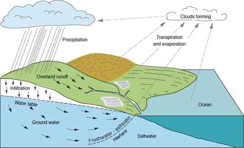 Diagram of hydrologic cycle.